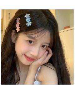 Hairpin hairpin 2 pcs