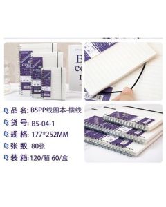 Loose-leaf 80 pages detachable