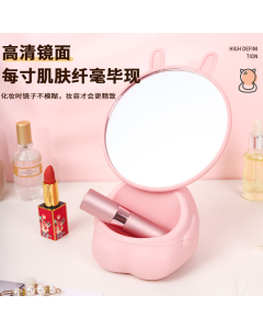 Storage mirror rabbit