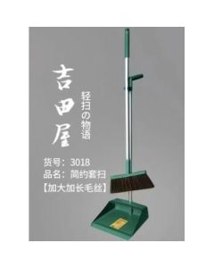 Broom set dustpan 3018