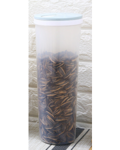 Noodle storage box Round