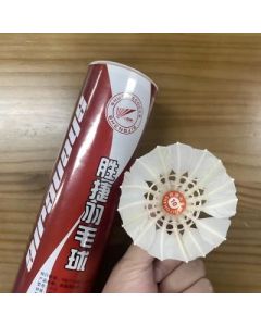 Badminton Shengjie 6pcs