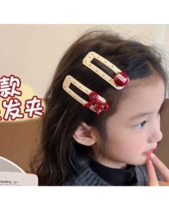 Hairpin hairpin 2 pcs
