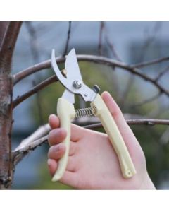 Garden scissors, fruit branch shears, twigs, flower branches, gardening shears, tools, scissors, OPP bagged curved mouth