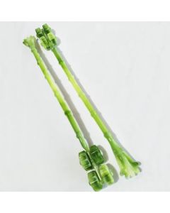 Tickle and scratch the anti-jade four-wheeled do not ask for people to scratch the itch rake with the hand scratcher