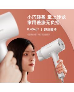 Deerma Hair Dryer