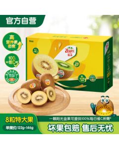Zespri New Zealand SunGold Kiwifruit, Pack of 8, Extra Large Size (122-146g per fruit), Mid-Autumn Festival Fruit, Kiwi