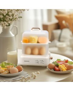 Daewoo Electric Steamer