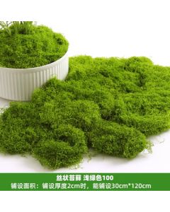 Xindun Leopard Artificial Moss Grass Turf for Landscape Decoration, Micro Landscape Ornament, Lawn Filament Moss Light Green 100g