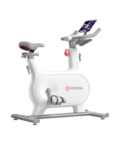 YESOUL Smart Self-Generating Indoor Exercise Bike with Auto Resistance Adjustment for Home Fitness and Weight Loss YS-BM2