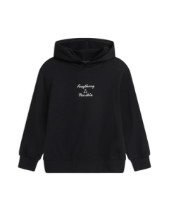 Li Ning Pullover Hooded Sweatshirt for Teens and Adults, Winter 2025 Fleece-Lined Warm Sports Top YWDV345