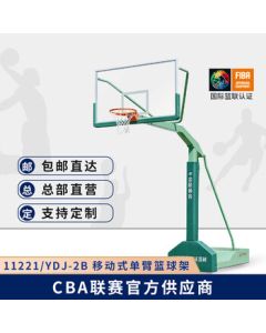 Jinling Jinling Sports Portable Single-Arm Basketball Hoop Set in Green (Includes Padding and Counterweights, Single Unit)