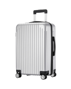 Fandiya Luggage Small Carry-on Suitcase with Wheels, 20-inch Silver Trolley Case with Password Lock for Men and Women