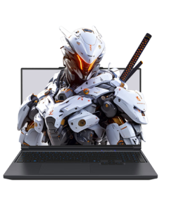 MECHREVO Aurora X Pro 16-inch Core i9HX Gaming Laptop (i9-14900HX 32GB 1TB RTX5070Ti Black)