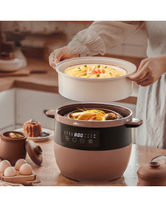 Bear Electric Stew Pot, Ceramic Casserole, Steamer and Stew Pot Combo, Soup Pot, Double-Boiling Stew Pot, Congee and Bird's Nest Cooking Electric Ceramic Pot, 2.5L DDZ-B25T6