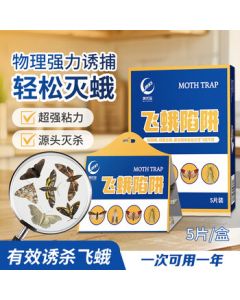 Dichang Moth Trap - Powerful Home Insecticide for Clothes Moths, Drain Flies, and Fungus Gnats - 5 Sticky Boards Included