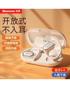 Newman Bluetooth Earbuds, Ear-Hook True Wireless Open-Ear Headphones LY12PLUS