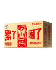 Dongpeng Special Drink Taurine B-Vitamin Energy Drink 250ML*24 Cans/Case Anti-Fatigue Family Pack