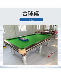 Tian's Billiard Table TS-011