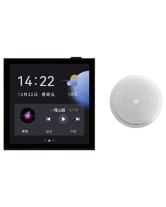 JBL C6IC In-Ceiling Home Theater Speaker System for Living Room, Commercial High-End Background Music, Invisible Speakers with Smart Host