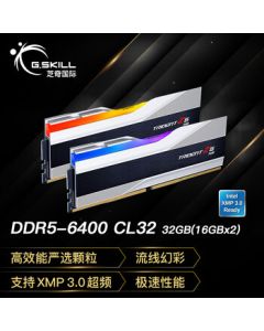 G.SKILL Trident Z5 RGB 32GB (16GBx2) DDR5 6400MHz Desktop Memory Kit - Silver (CL32)