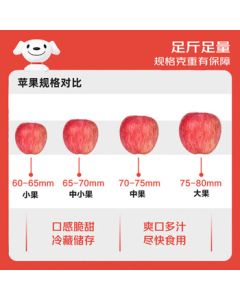 Jingxiansheng Yunnan Zhaotong Red Delicious Apple, Net Weight 2kg, Single Fruit 65mm+, Fresh Fruit, Direct from Origin, Free Shipping