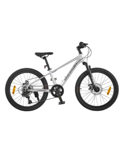 JingDong Jingzao 22-Inch Youth Kids Bicycle, Student Mountain Bike with 7-Speed Shimano Disc Brake, Silver Birthday Gift