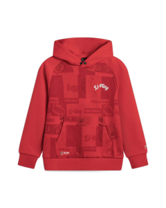 Li Ning Fleece Hoodie for Teens, Unisex 2025, Warm & Antibacterial Loose Fit Sports Top YWDV083