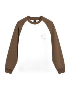 Li Ning Women's Pullover Hooded Sweatshirt 2025 New Autumn Sportswear Casual Athletic Top AWDV996