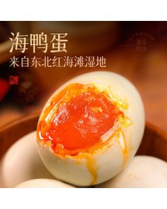 Decathlon Outdoor Camping Folding Armchair Comfortable and Durable 5204934