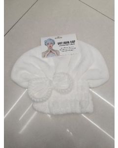 Hair dryer cap