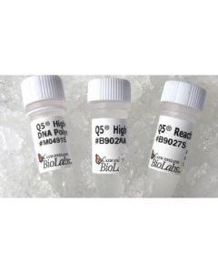 MuXi NEBridge® Golden Gate Assembly Kit (BsaI-HF® v2) (Ligase Master Mix Optimized)