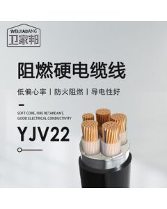 WEIJIABANG YJV22 4*25+1*16 sqmm National Standard Copper Core 5-Core Armored Underground Cable 1m
