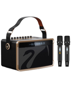 HiVi Outdoor Bluetooth Speaker with Lyrics Display, Karaoke & Square Dance High-Power Portable Handheld All-in-One Singing Machine, Instrument Live Streaming Interface MQ6