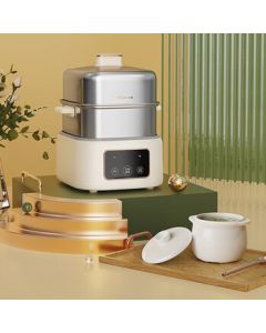 Bear Electric Steamer, Double-Layer Multi-Functional Stewing Pot with Timer and Auto Shut-Off Protection, Egg Cooker, Stainless Steel Steamer ZDQ-C06H1 RY