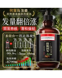 Tongrentang Anti-Hair Loss Shampoo – Hair Growth, Anti-Shedding, Oil Control, Volumizing Ginger Shampoo, No. 1 Best Seller, 508ml