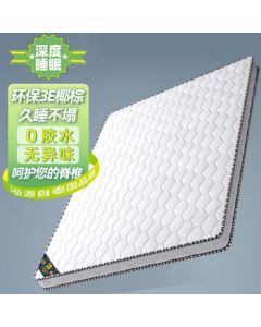 Yimi Love Foldable Coconut Coir Mattress, Hard Thin Dorm Mattress 3E Coconut Coir 5cm 1.2m*2m RB-0012
