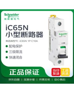 Schneider Electric Air Switch Miniature Circuit Breaker iC65N 1P C10A 1 Piece