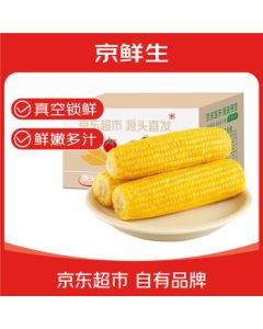 Jingsiansheng Northeast Sweet Corn Net Weight 4.5 Jin (6-8 Ears) Fresh Sweet Corn Cob Fresh Vegetables Direct from Source