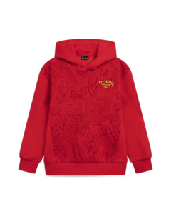 Li Ning Fleece-Lined Hooded Sweatshirt for Teens and Adults, Loose Fit Sports Top for Autumn and Winter, YWDW099