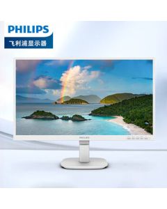 Philips (PHILIPS) 23.8-inch Monitor IPS 100Hz Low Blue Light Commercial Office Wall-Mountable VGA+HDMI Computer Display 24B2N2100LW/93 White