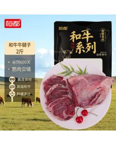 IMOGY German Pure Titanium Thermal Pot Tea Infuser with Tea Strainer, Steeping Pot for Aged White Tea, Home Use Thermos Kettle, Tea Brewing Pot