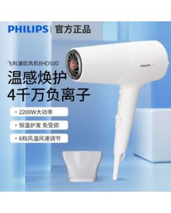 PHILIPS Hair Dryer, 2200W High Power Fast Drying with Constant Temperature, Negative Ion Hair Care, 6 Speed Settings, BHD501/05