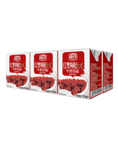 Fengxing Milk Red Date and Goji Berry Milk Beverage 200ml*6 Box Combo Breakfast Milk [Trial Pack]
