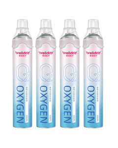 WELLDAY Portable Oxygen Canister - 1000ml Single Bottle for Pregnant Women, Elderly, Altitude Sickness Relief, and Travel Use