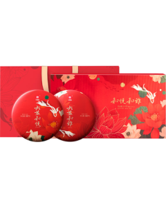 TAETEA DaYi Pu-erh Tea 4-Year Aged He Yue He Ya Raw & Ripe Tea Combo 357g*2 Mid-Autumn Gift Box for Elders