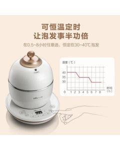 Bear (Bear) Bird's Nest Steamer, Ceramic Mini Electric Steamer Pot for Stewing Bird's Nest, Automatic Double-Boiler Soup Cooker, Health Pot DDZ-C06A1
