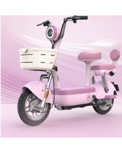 AIMA Little Gold Bean 60V21AH Gold Standard No.1 Graphene Stylish Electric Bike