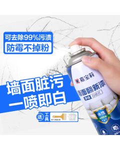Carpoly Wall Repair Self-Spray Paint, Wall Patch Paste, Latex Paint Wall Repair Cream, White Wall Stain Remover & Repair Magic, White Paint