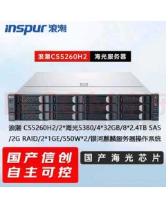 Inspur Server CS5260H2 (Configuration: 2* Hygon 5380/4*32GB/8*2.4TB SAS/2G RAID/2*1GE/550W*2) Set